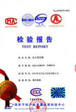 广东电力变压器检测报告